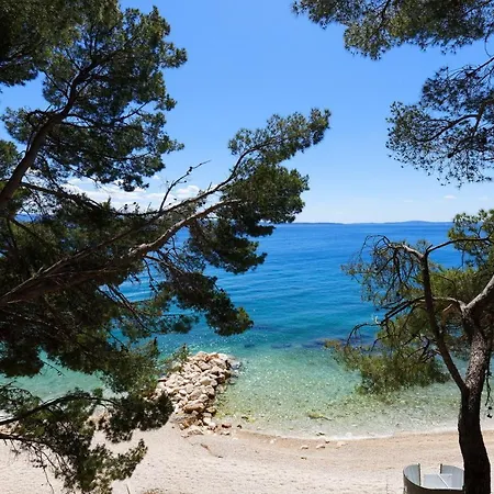 Dalmain * Split